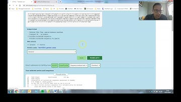 ExPASy translate tool and Protein Parameters