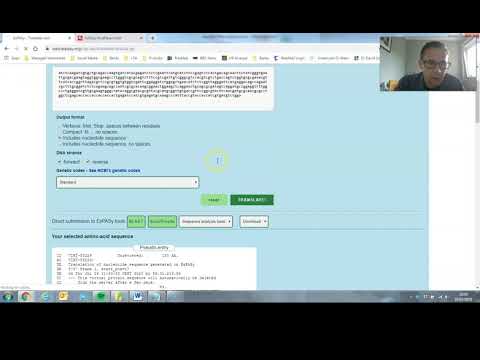 ExPASy translate tool and Protein Parameters