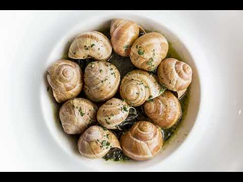Discussion about the food and drinks at the little snail