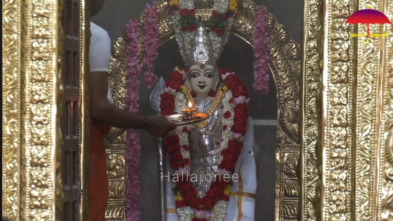 Selayagi Thoruva | Murugar Abishegam | முருகன் அபிஷேகம் | Baduga Devotional Song | #hallajonee 