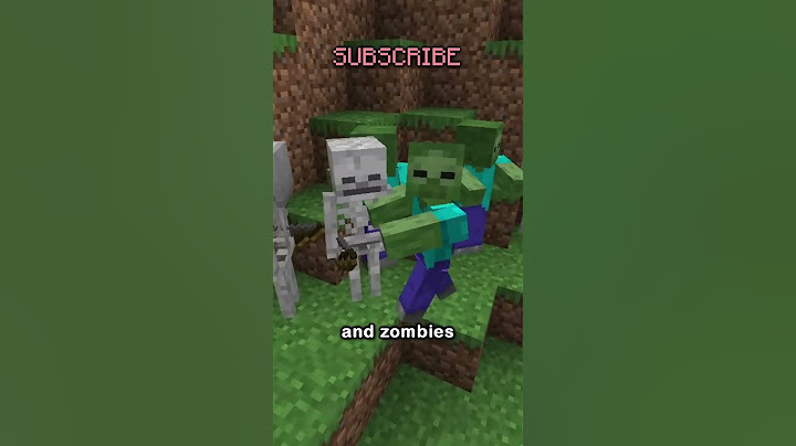 the best worst door in minecraft