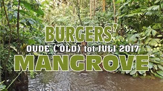 Burgers Zoo Oude Old Mangrove Tm Juli 2017.