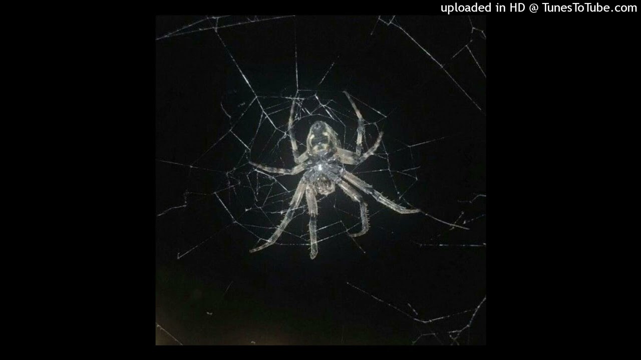 redda + supertrap + zodiak type beat - setup  // prod. ruang