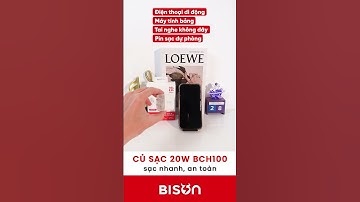 Củ sạc Bison 20W BCH100