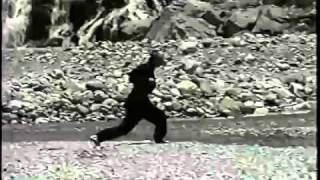 Tiger Fists Form.mp4