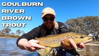 Catching a BIG Goulburn River Brown Trout on Soft Plastics!