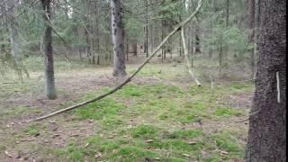 20170320 110551