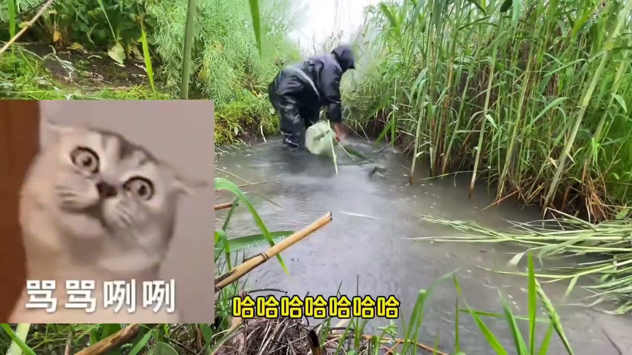 今天啥也不说了，火了喊我！视频最后最真心祝福各位！ #户外捕鱼  #真实户外  #今天的收获  #捞鱼也是技术活