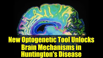 New Optogenetic Tool Unlocks Brain Mechanisms in Huntington