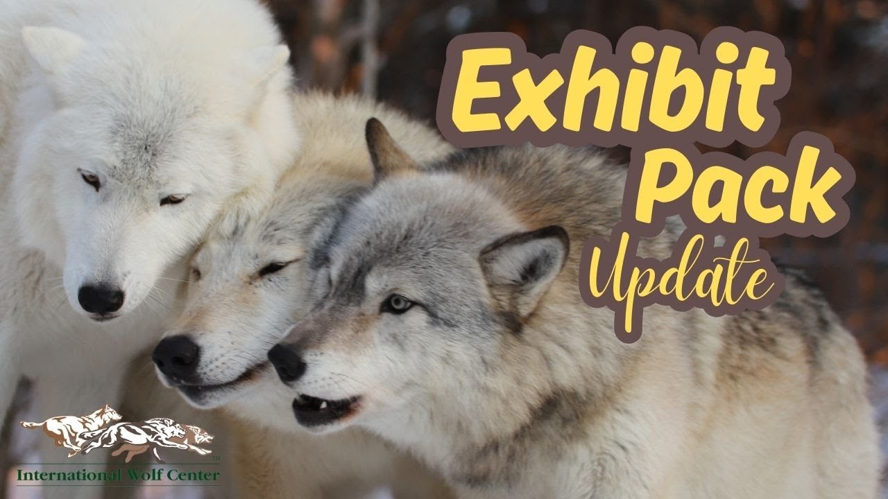 Exhibit Pack Update - 17 January 2025