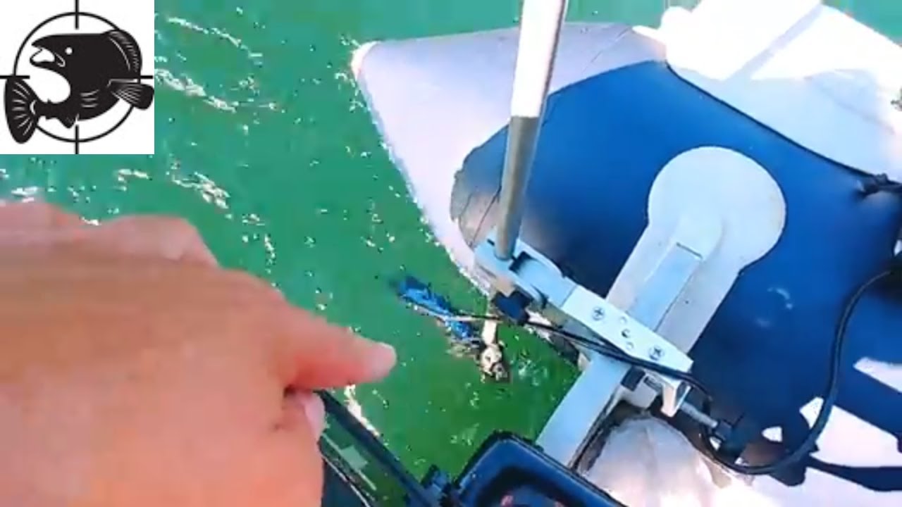 Pole Arm Transducer Mount with Lowrance Total Scan from Fish Finder