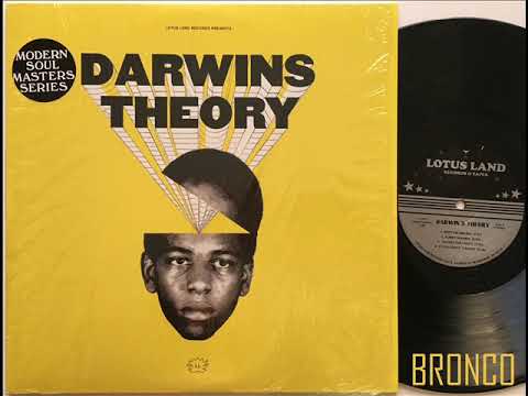 DARWINS THEORY LP レコード Darwin's Theory – Darwin's Theory – Vinyl (LP, Album + 3 more