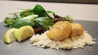 Estructurado De Salmón Sin Espinas Con Bindly Gs Transglutaminasa