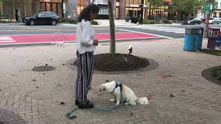 Up/Down Control Unleashed - Street Distractions