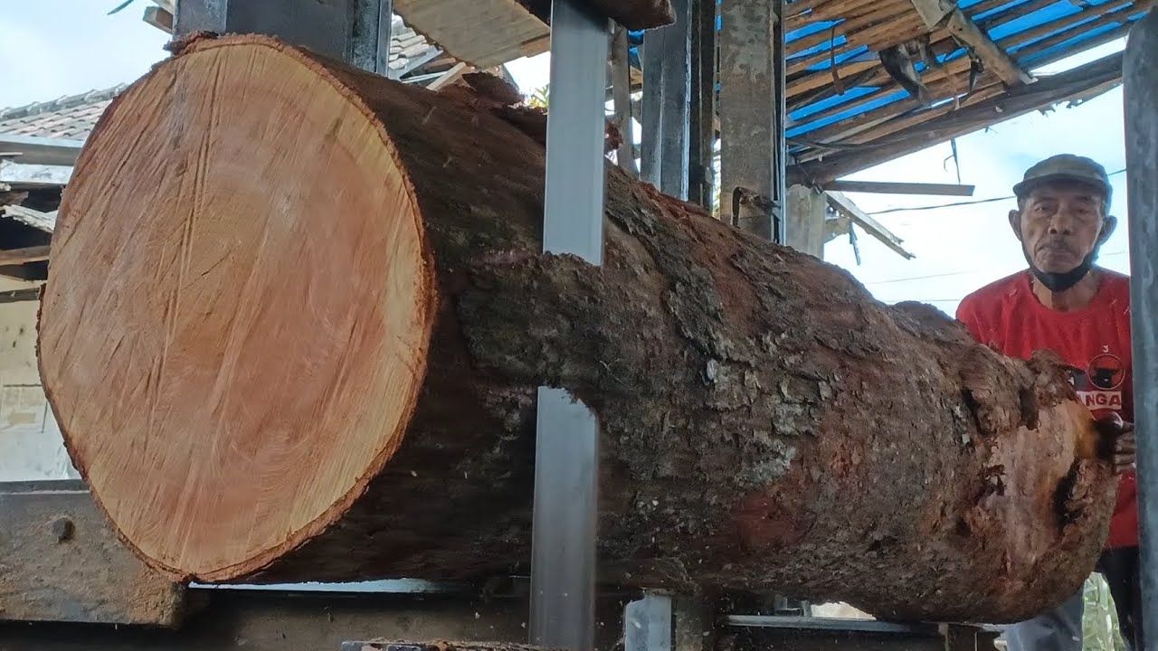 Things beginners must know to discover the secret of the beauty of wood grain at the sawmill