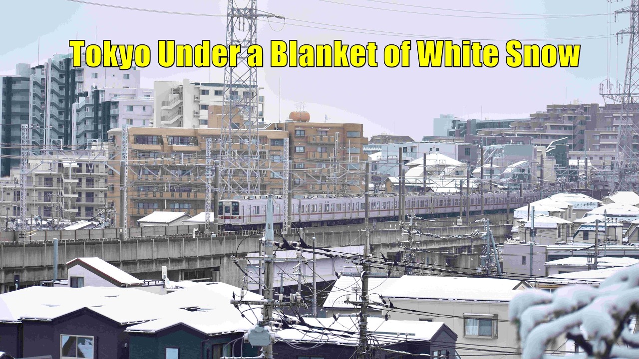 Heavy Snow in Tokyo ❄️ Walking Vlog