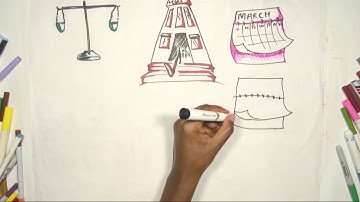 2019-2020 Annual Report Highlights