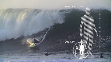 Scientific Breakdown of JOB