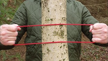 Paracord Through the Tree Camping Trick