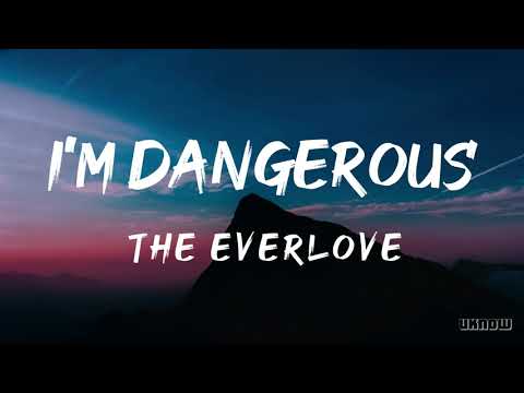 Im Dangerous Lyrics   The Everlove