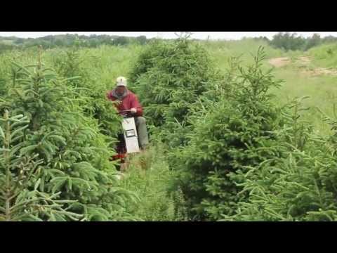 Tree Farm Mowing with Ventrac