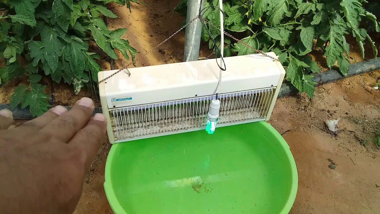 أسلحة الدمار الشامل للتوتا أبسليوت هههه