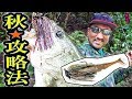 バスの釣り方に変化が！【釣りたい方、必見】