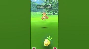 Wild Shiny Vulpix in Pokemon GO #shorts  #pokémon #pokemon go #shiny #pokego #augmentedrealitygame