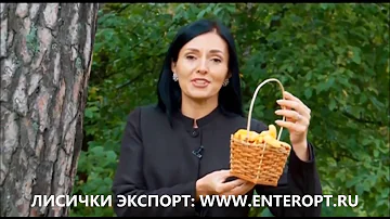 ᐉ 1OO% КУПИТЬ ЛИСИЧКИ ГРИБЫ СУШЁНЫЕ ОПТОМ? Продажа Лисичек Цена на Экспорт | ЗВОНИ ☎ +7923538777O
