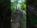 The Masterpiece trail in Bentonville, Arkansas!
