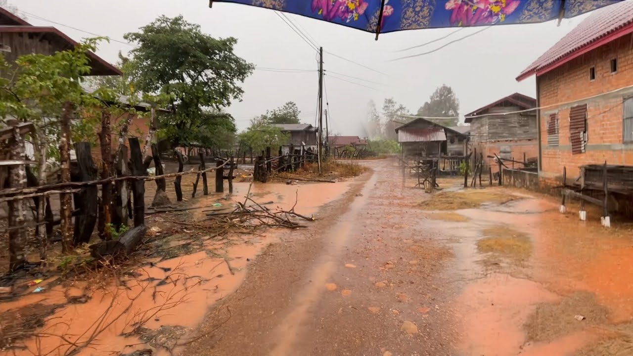 บ้านเฮาฝนตกแต่เช้าฮอดค่ำชุ่มเย็นคัก//ບ້ານເຮົາຝົນຕົກແຕ່ເຊົ້າຮອດຄໍ່າຊຸ່ມເຢັນຄັກ