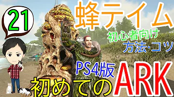 Ark ペンギン テイム Ark ペンギン テイム