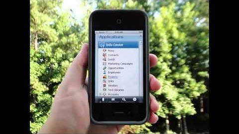 Vision Unleashed™:  Mobile Solution to Access Deltek Vision