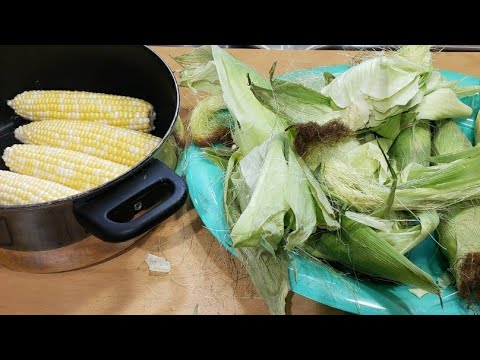 HOW TO BOIL sweet CORN ON THE COB   HOW TO COOK SWEET CORN AT HOME   Fresh corn recipe