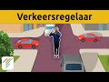 Verkeersregelaar