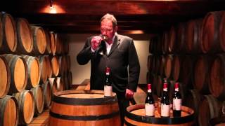 Spier 21 Gables Chenin Blanc