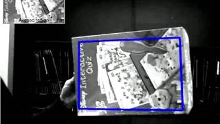 Direct visual tracking under arbitrary lighting changes