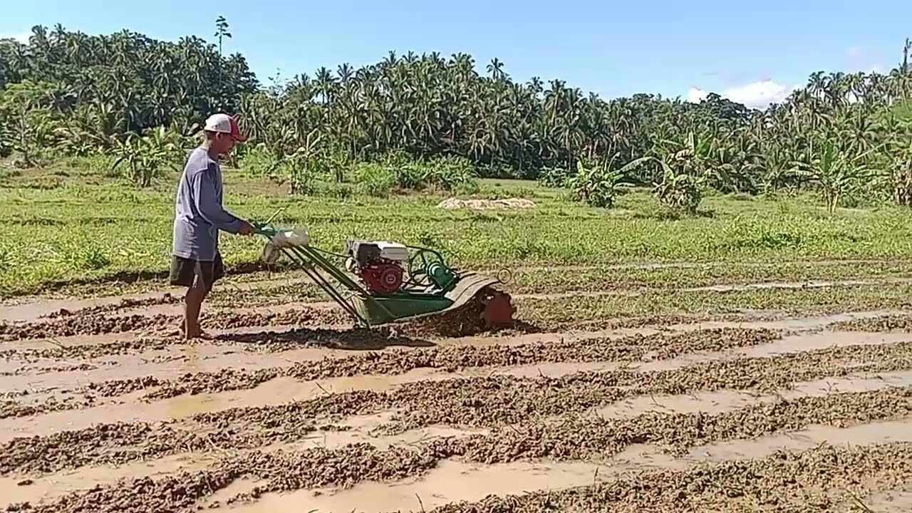 Land Preparation Using Hand Tractor #farmlife #ricefarming