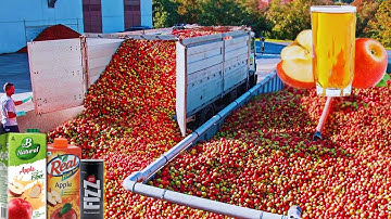 How APPLE JUICE is Made IN FACTORIES | Modern Fruit Juice Making Technology