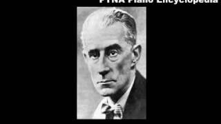 亡き王女のためのパヴァーヌ - 演奏動画のサムネイル