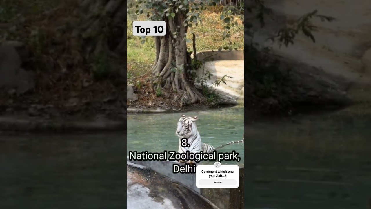 Top 10 Biggest Zoo In India 