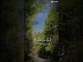 #quran #quranrecitation#travel #islamicshorts