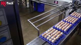شاهد كيف يقومون في تلقيح صناعي عبر الات حديثة وتربية بيض الدجاج #تكنولوجيا_حديثة#معلومات#Abu Alrich