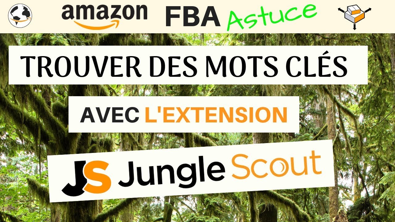 Comment Trouver Des Mots Cles Pour Ranker Avec L Extension Jungle Scout Youtube Comment Trouver Des Mots Cles Pour Ranker Avec L Extension Jungle Scout Youtube