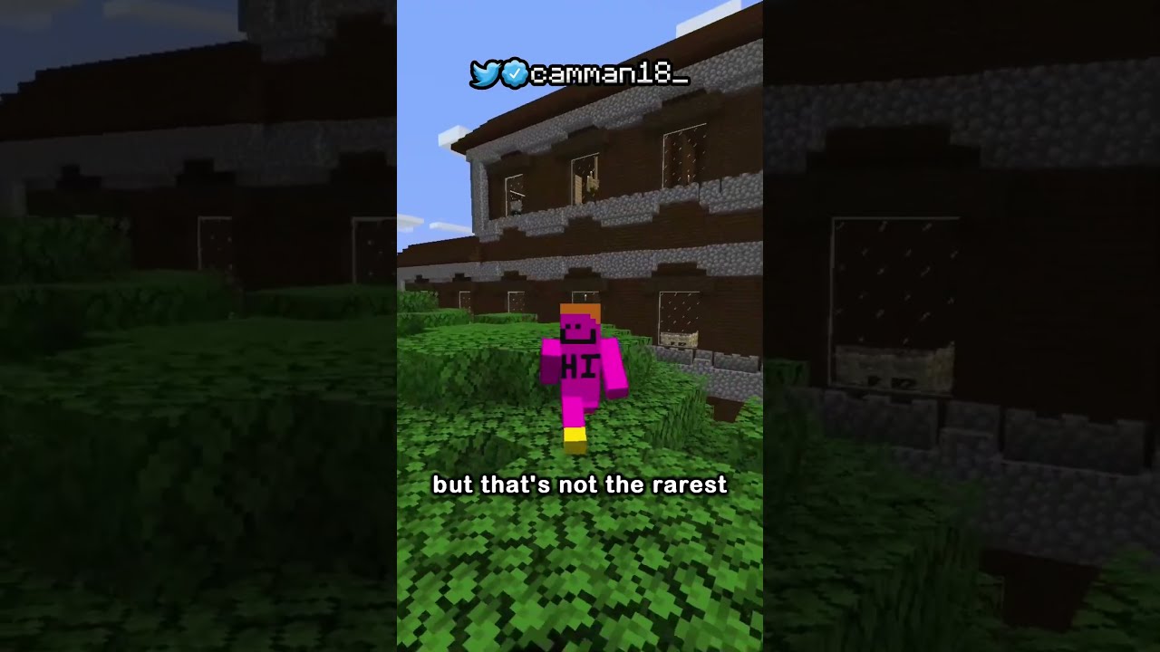 The Best Seed In Minecraft History 