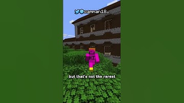 Thumbnail of The Best Seed In Minecraft History...