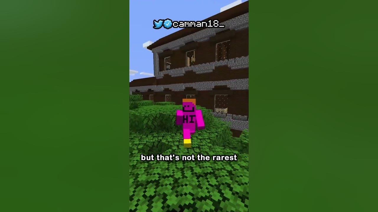 The Best Seed In Minecraft History...