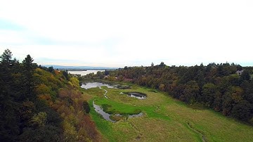 Intelite DBS Extender Distance Test