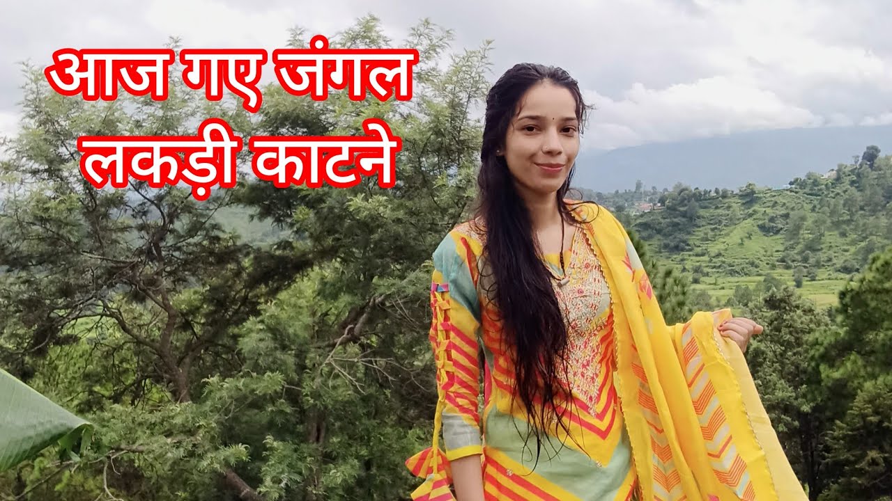 7 vlog aaj gye jungale lakdi katne 