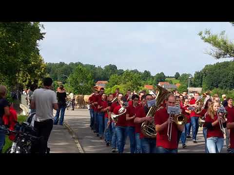 Video: Hat der Viehtrieb ein Ende?